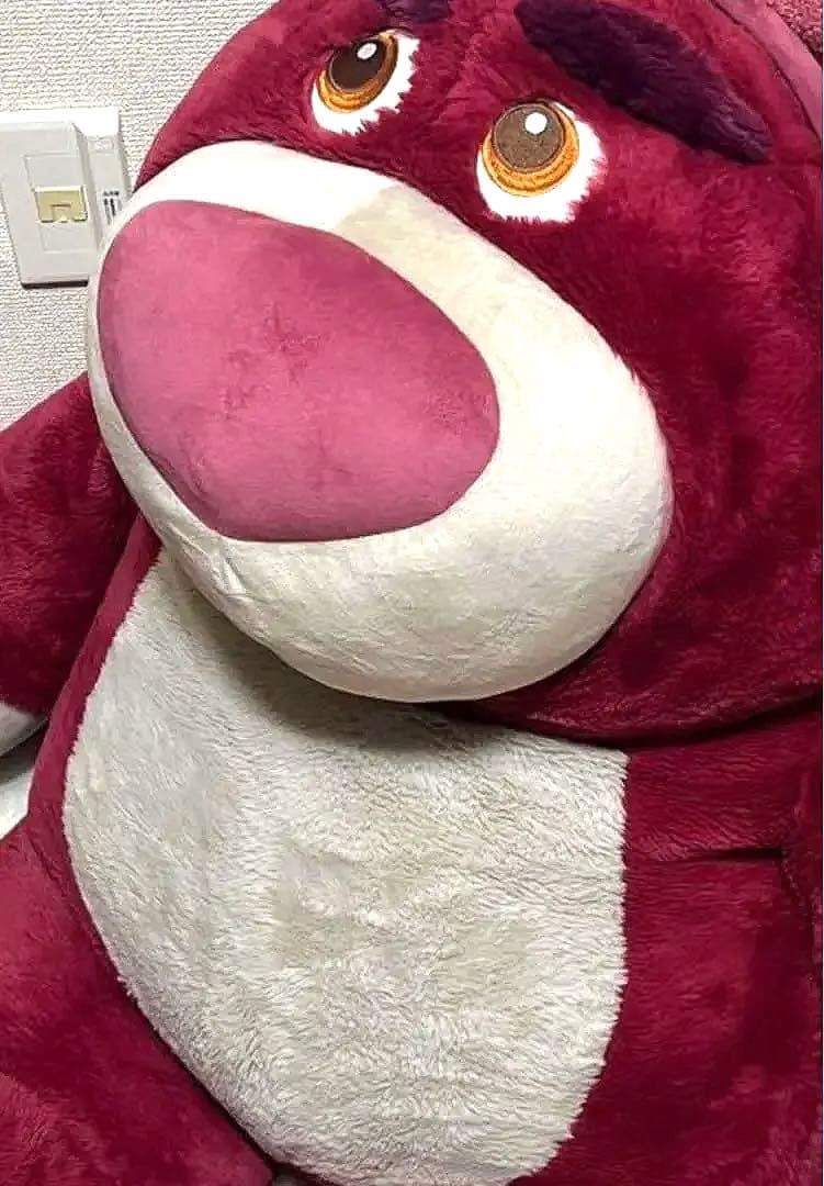 コストコ　ロッツォ
