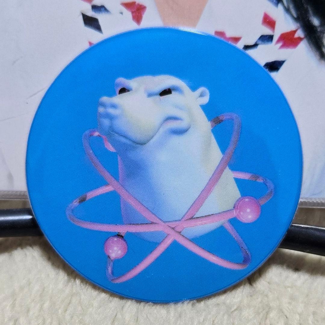バッジ付！ Bjork Post CD 日本版 初版 ビョーク