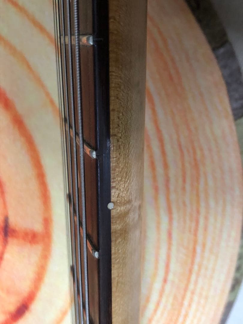SCHECTER EX4 飯嶋