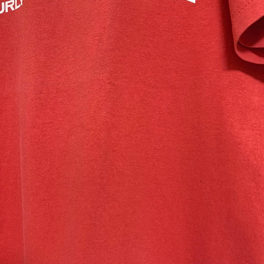 80s 前期 STUSSY USA製 黒タグ BURLY THREADS TEE