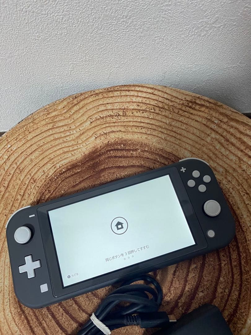 海外版　Nintendo Switch Lite グレー　本体