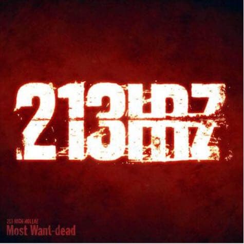 邦楽 213 HICH ROLLAZ