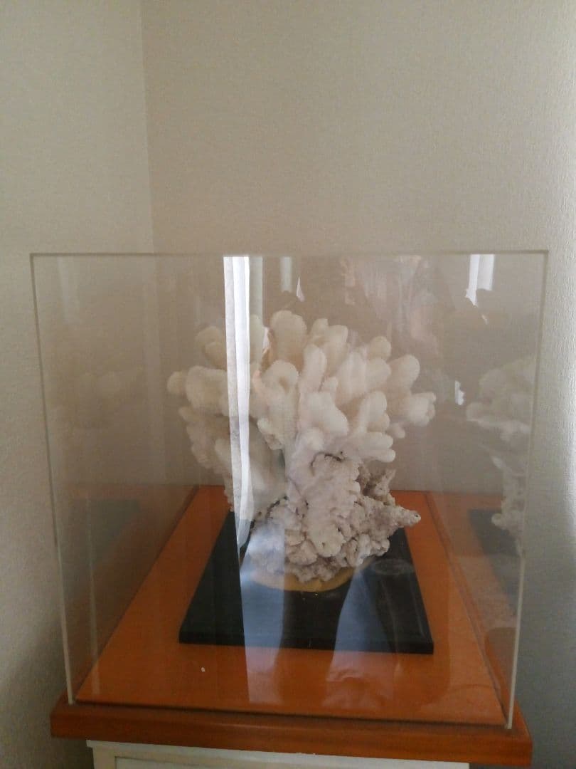 透明アクリルケース (44x45x60cm)