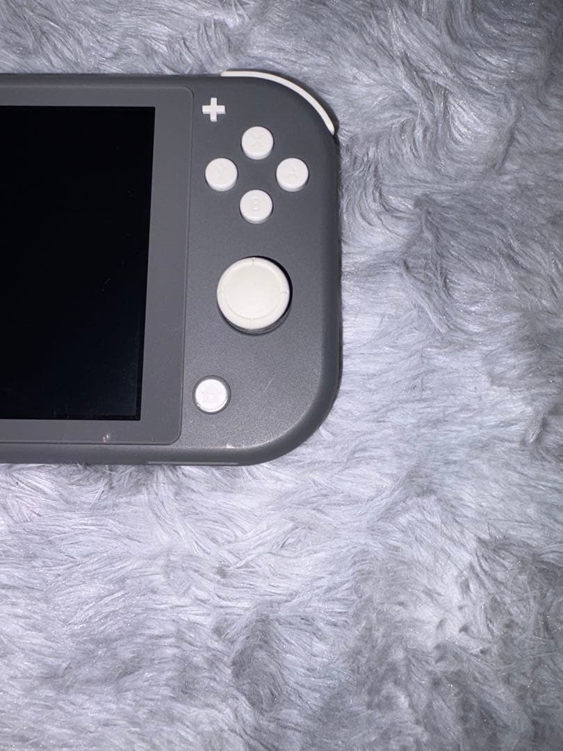 Nintendo Switch Lite グレー 本体 + ACアダプター