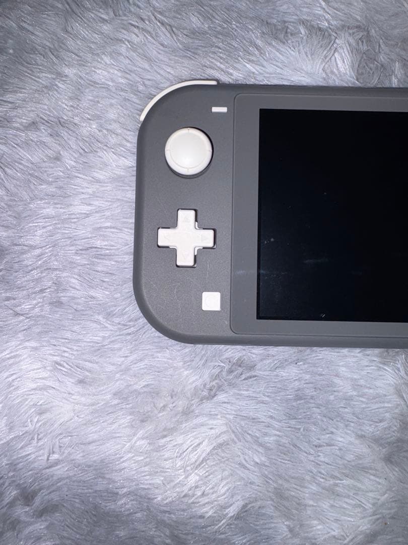 Nintendo Switch Lite グレー 本体 + ACアダプター