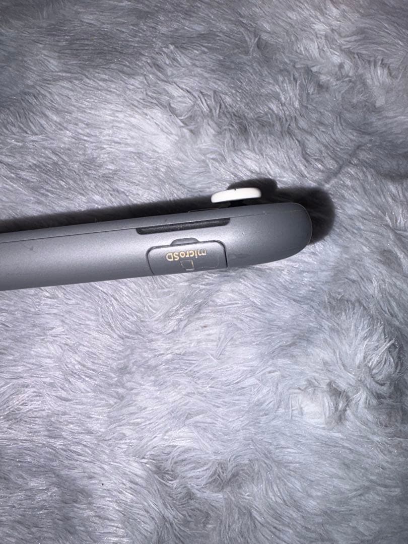 Nintendo Switch Lite グレー 本体 + ACアダプター