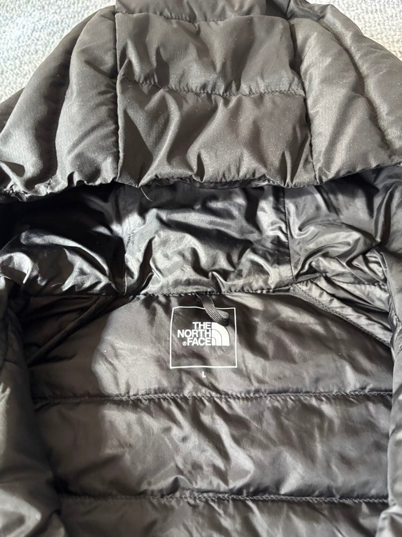 The North Face ブラック Red Run Hoodie