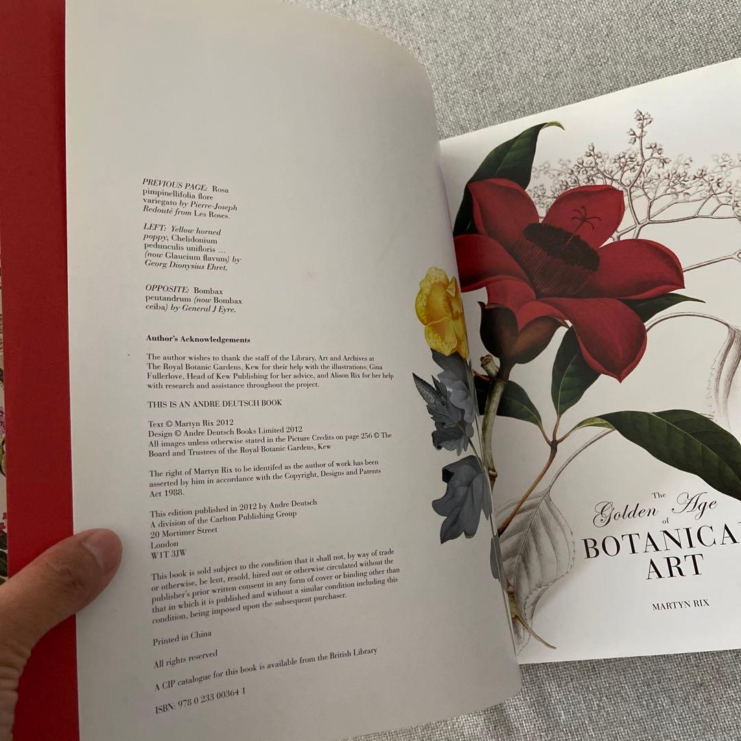 洋書 大判 BOTANICAL ART ボタニカル ACME アンティーク 本