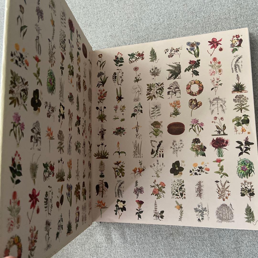 洋書 大判 BOTANICAL ART ボタニカル ACME アンティーク 本