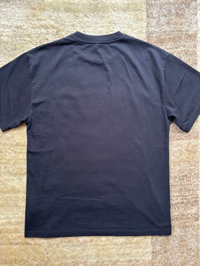 No Problemo グラフィックTシャツ マトリックス　aries