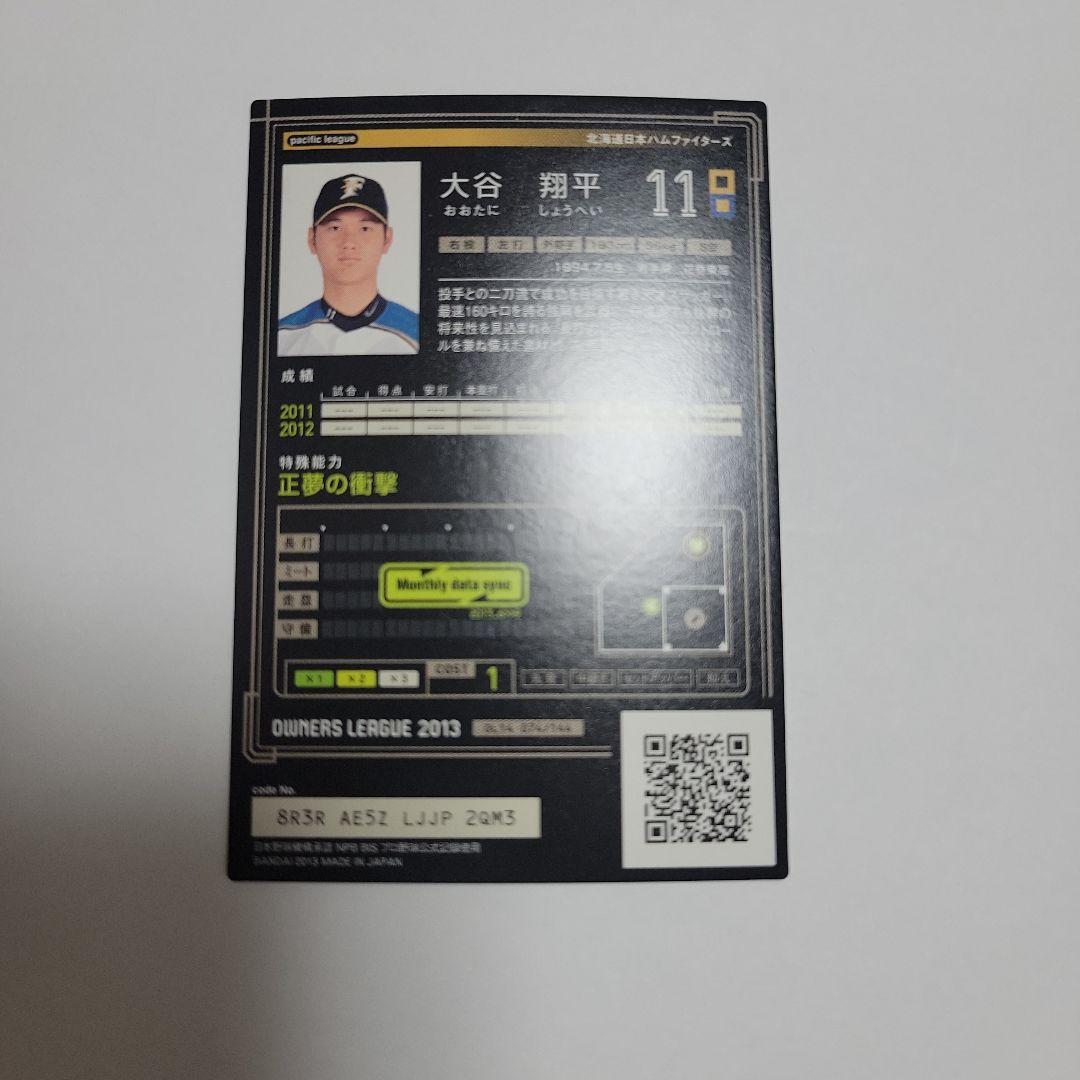大谷翔平 2013年 オーナーズリーグカード インフィニティ ルーキーカード
