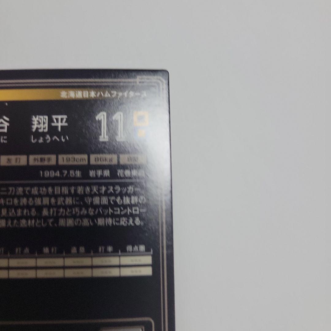 大谷翔平 2013年 オーナーズリーグカード インフィニティ ルーキーカード
