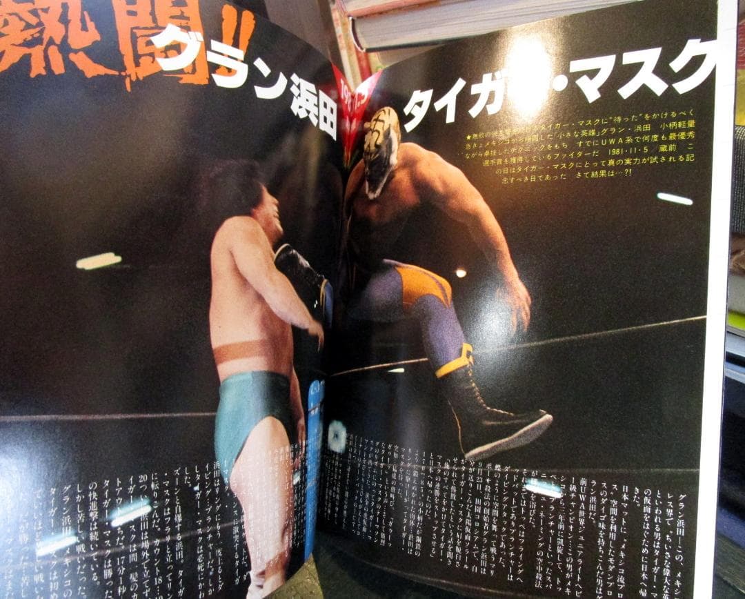 タイガーマスク写真集