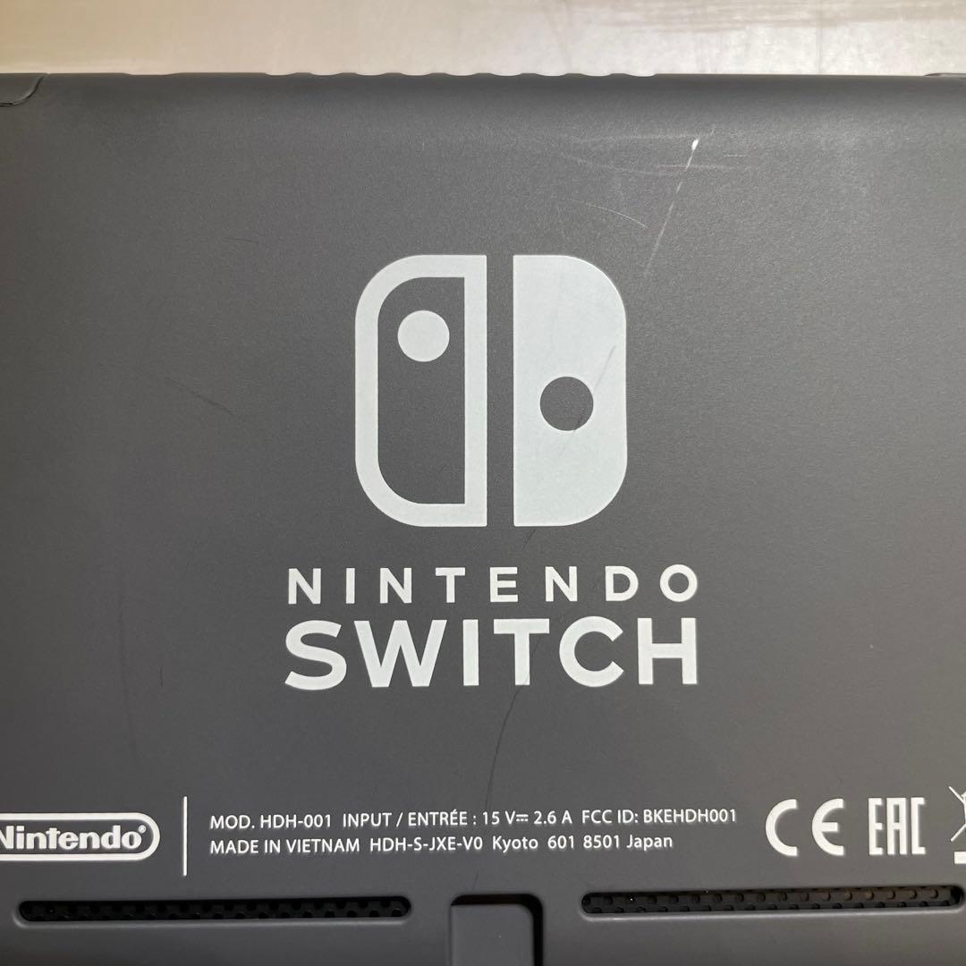Nintendo Switch Lite 本体、充電器、ケースセット