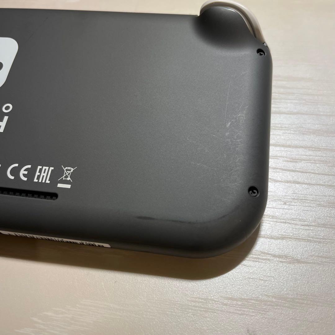 Nintendo Switch Lite 本体、充電器、ケースセット
