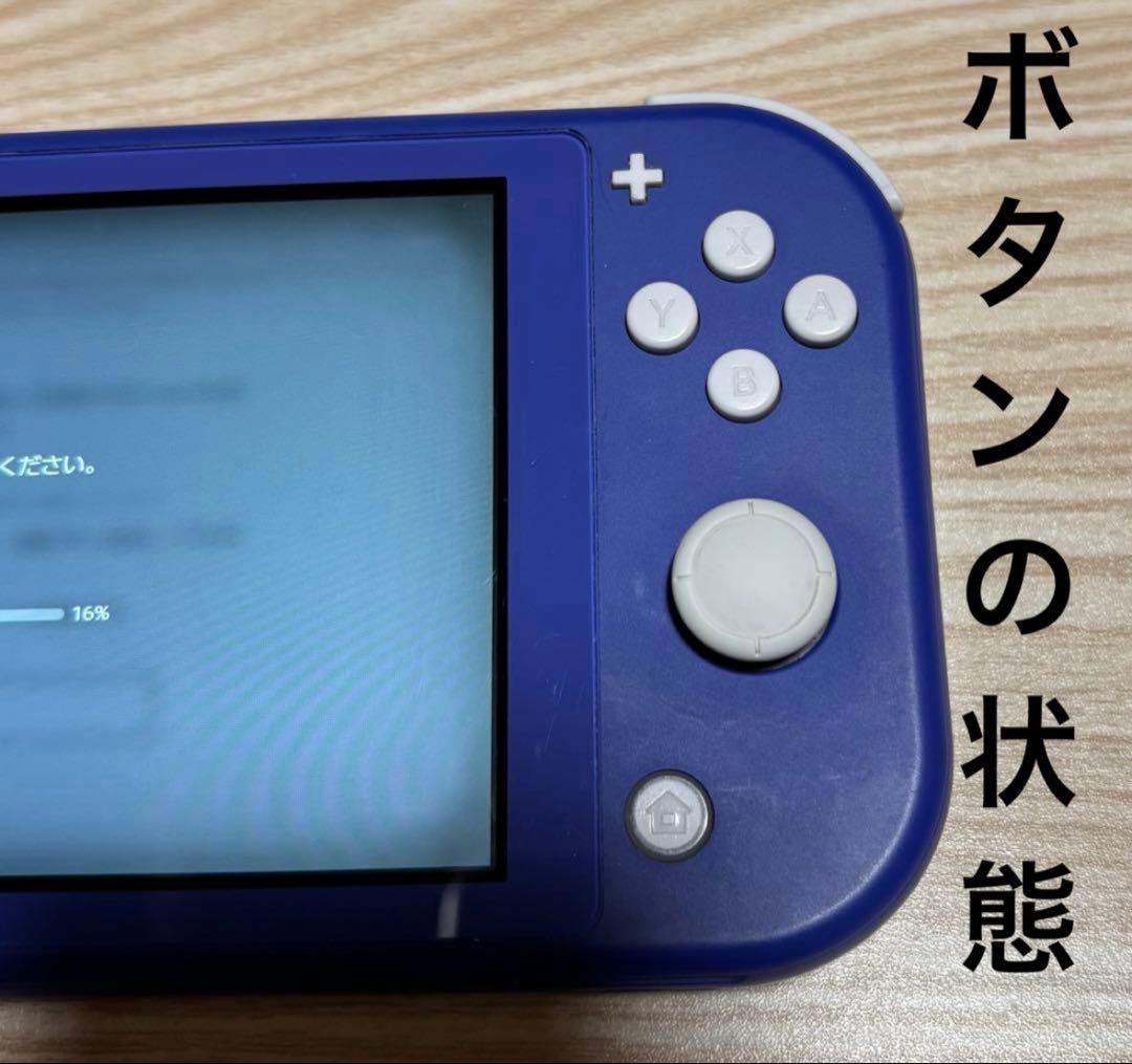 2021年　動作確認済み◎Nintendo Switch light 本体のみ