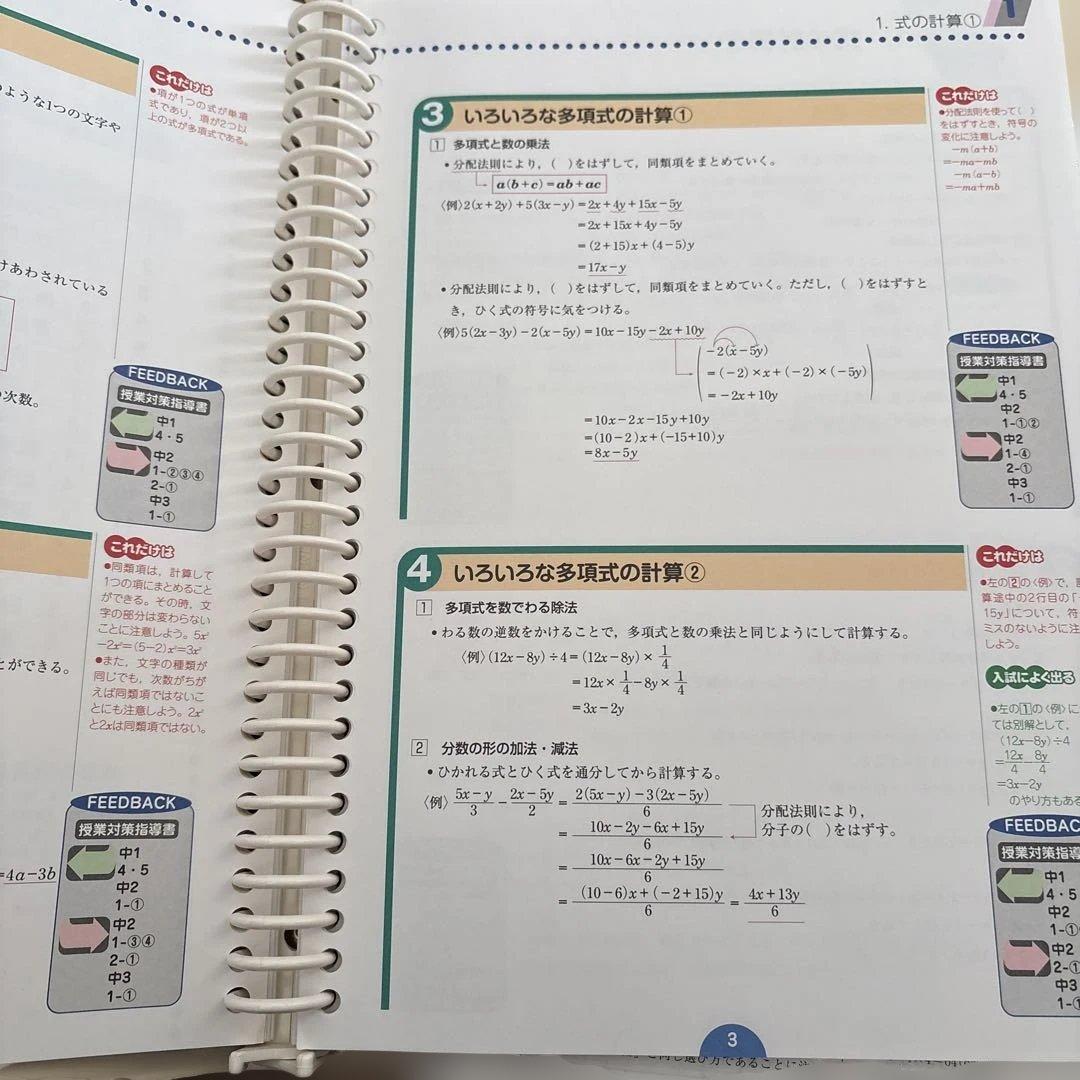 ⭐︎内申対策⭐︎中学校 学習参考書 指導書 PASTEM
