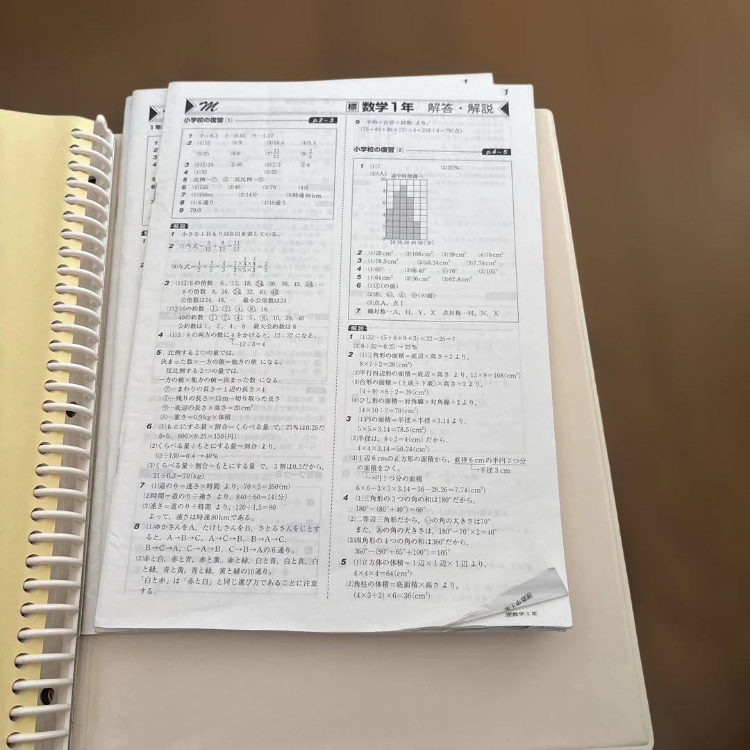 ⭐︎内申対策⭐︎中学校 学習参考書 指導書 PASTEM