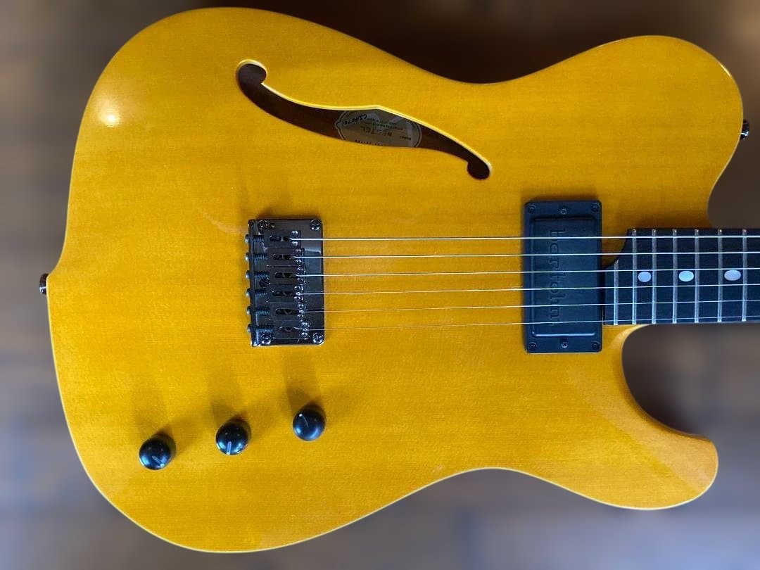 Westville Westel Semi-Hollow 　貴重な１マイク仕様
