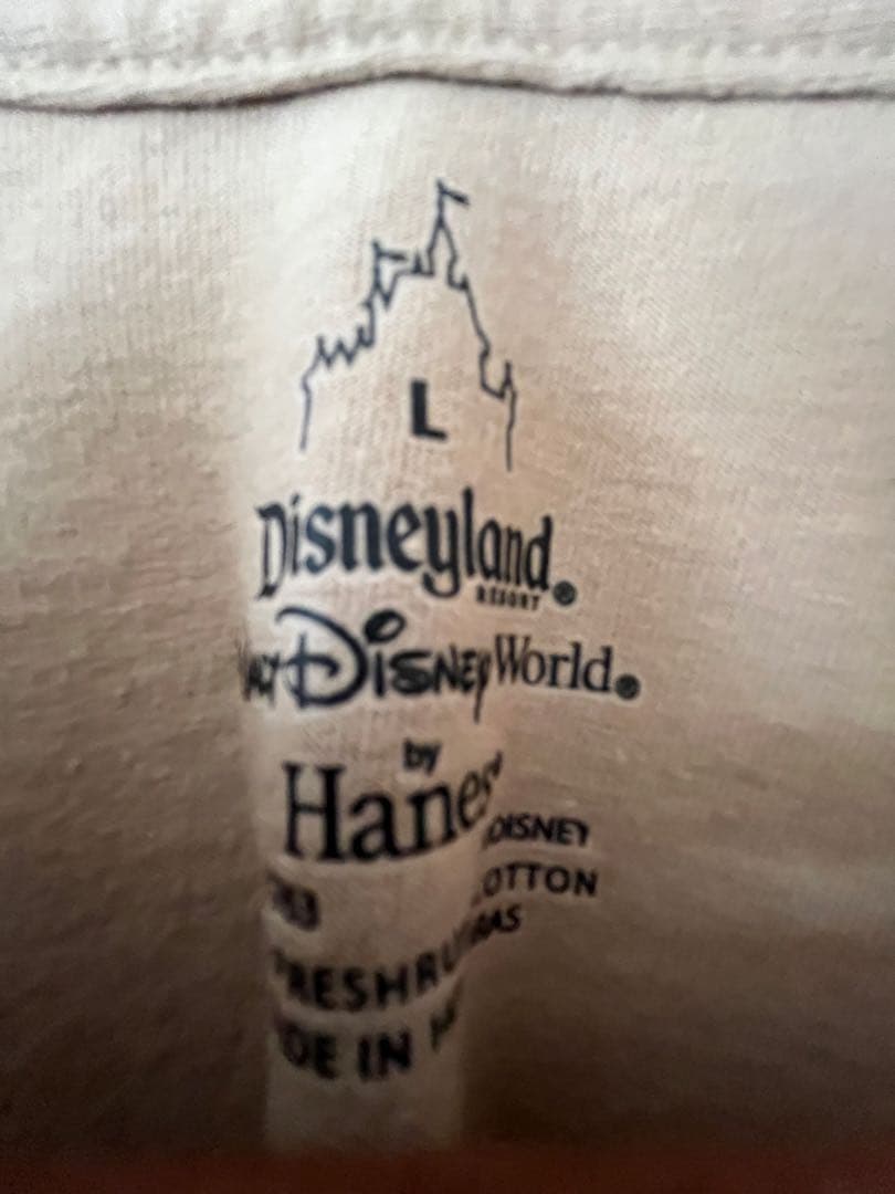 ディズニー ヴィンテージ カントリーベア Tシャツ Lサイズ WDW ワールド