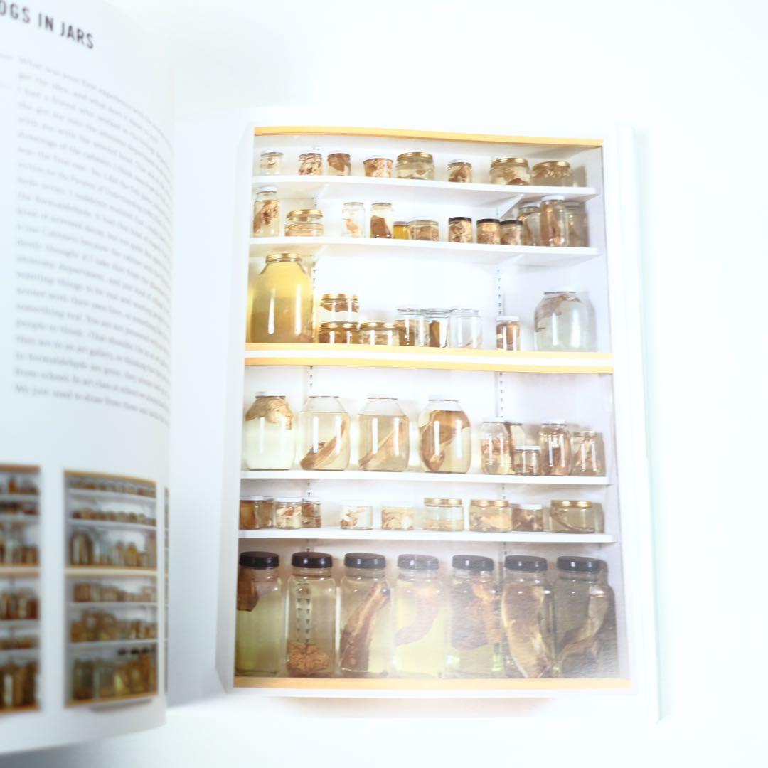 DAMIEN HIRST ダミアン・ハースト　洋書　写真集　作品集　初版