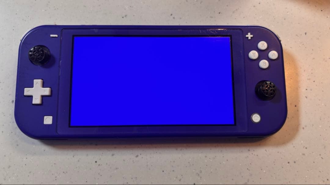 Nintendo Switch Lite 《ジャンク品》