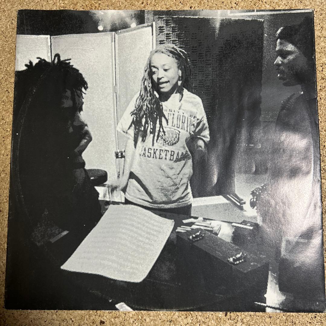 洋楽 the ROOTS from the ground up 2LP