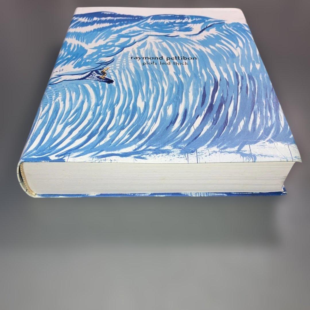 アート・デザイン・音楽 raymond pettibon / plots laid thick