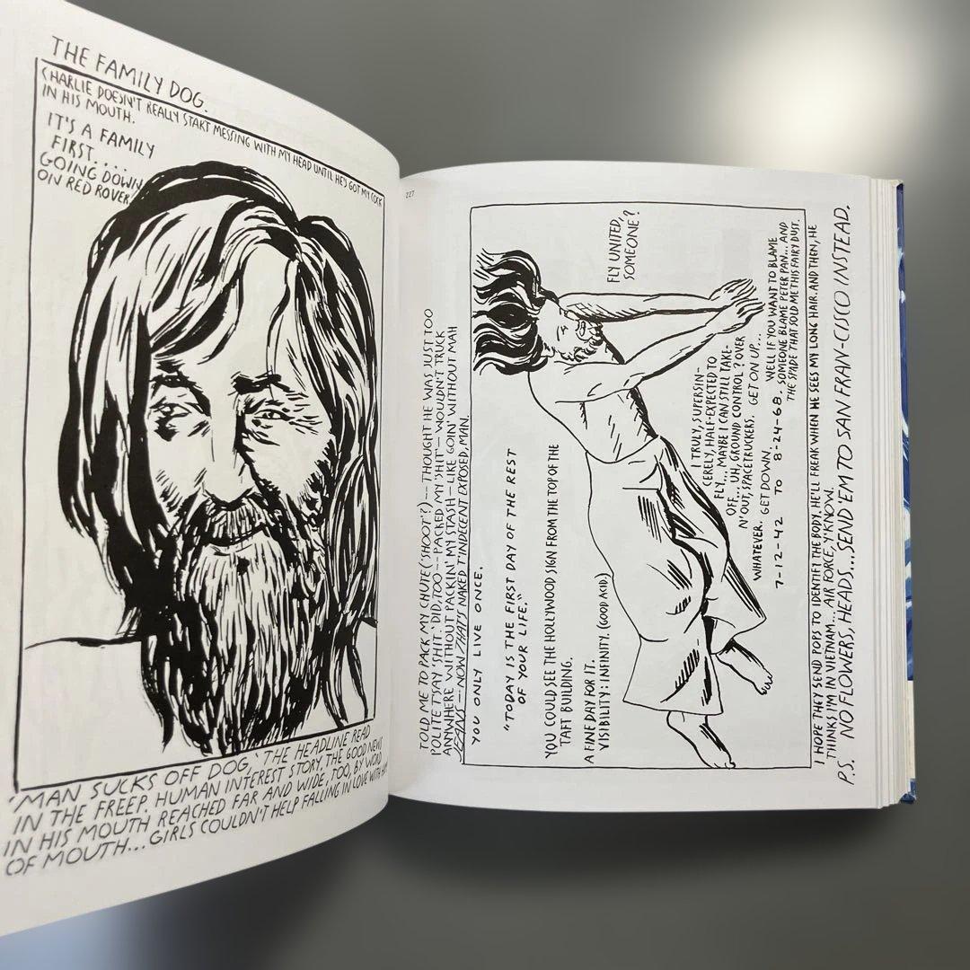 アート・デザイン・音楽 raymond pettibon / plots laid thick