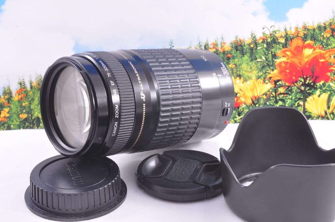 Canon EF 75-300mm USM フード付キヤノン 望遠ズーム 整備済