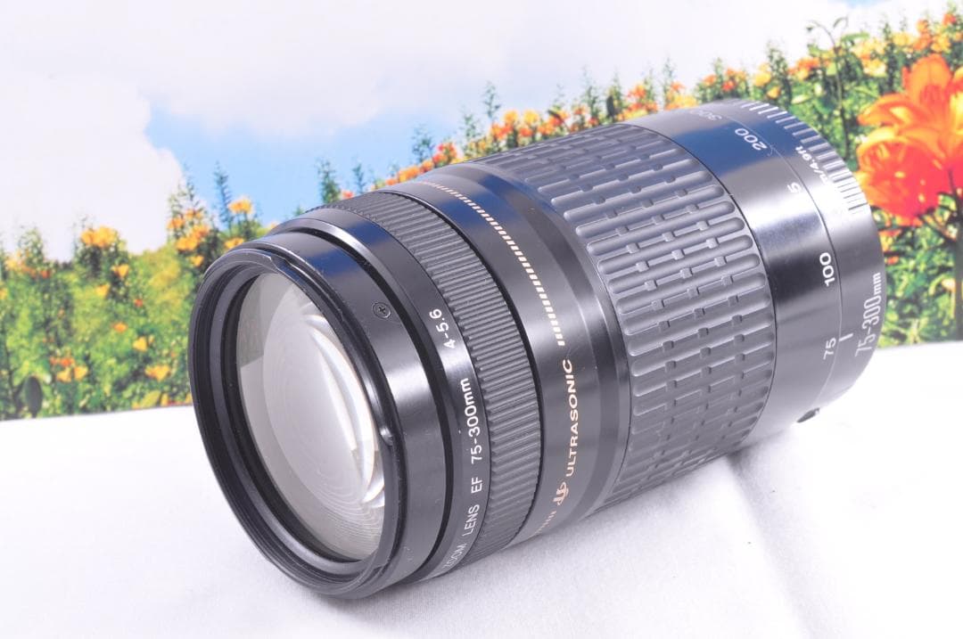 Canon EF 75-300mm USM フード付キヤノン 望遠ズーム 整備済