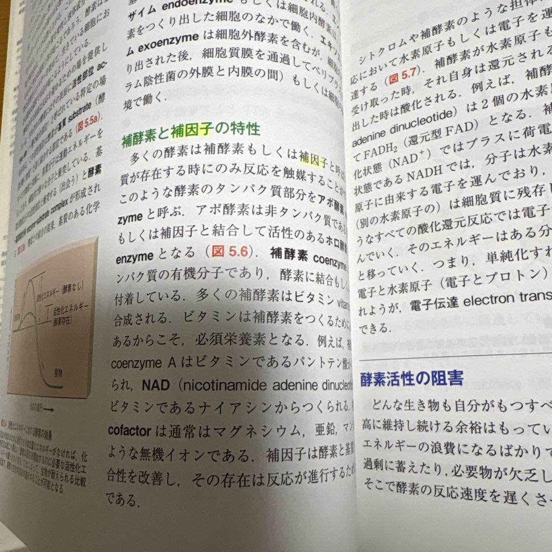 ブラック微生物学