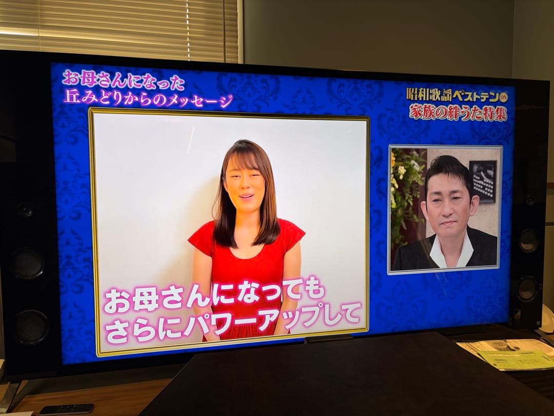 65インチ　テレビ　SONY製KJ-65X9350D