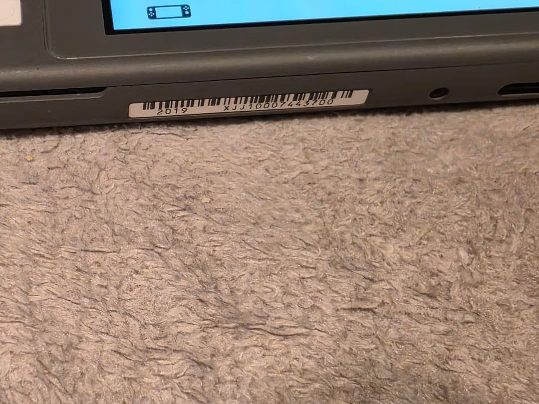 Switchライト グレー