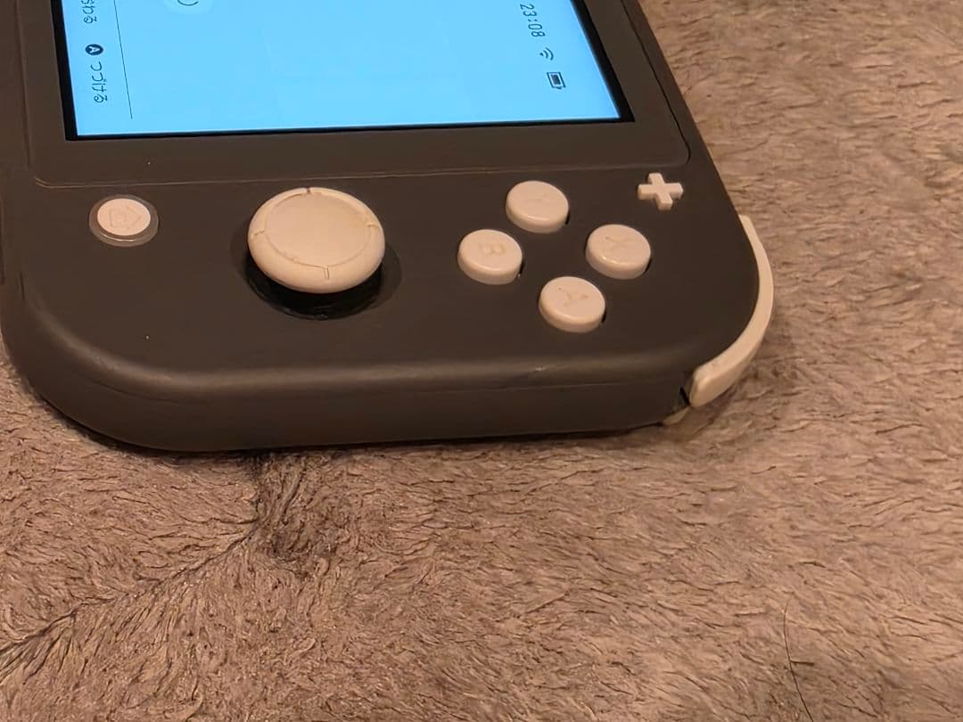 Switchライト グレー