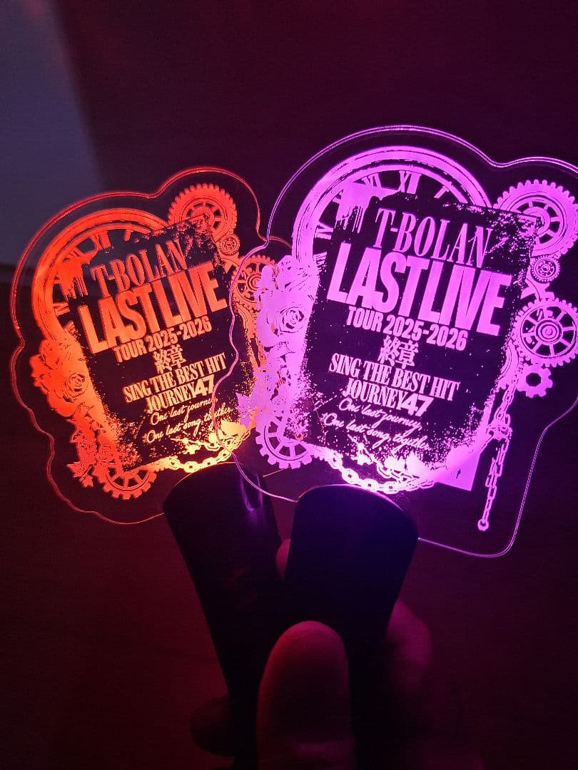 T-BOLAN LAST LIVE ペンライト 2個セット 電池付き