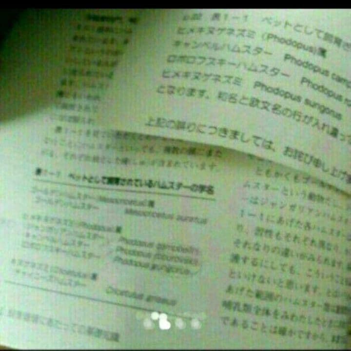 ハムスター学入門　獣医　ハムスター好きな方　第1版　第1刷
