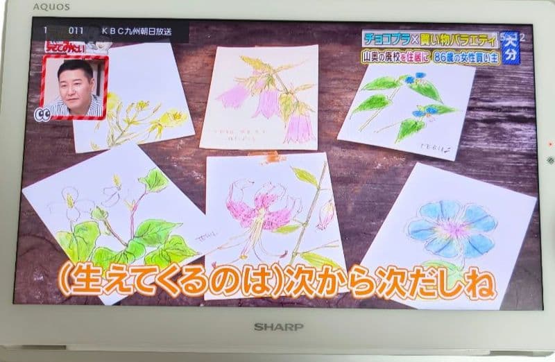 SHARP シャープ 16V型 液晶 テレビ AQUOS 2T-C16AP-W