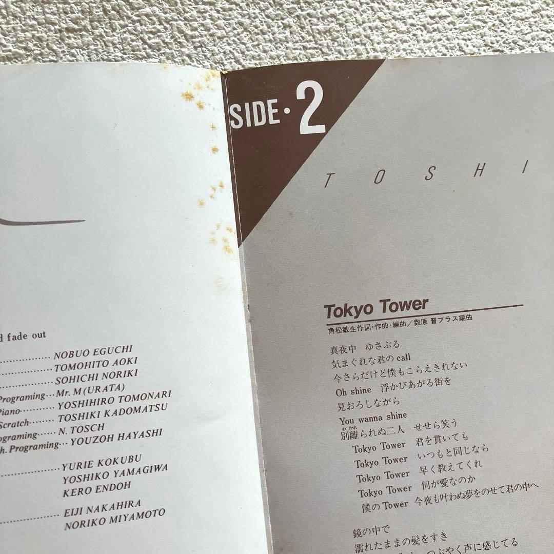 角松敏生　GOLD DIGGER〜with true love〜　LPレコード