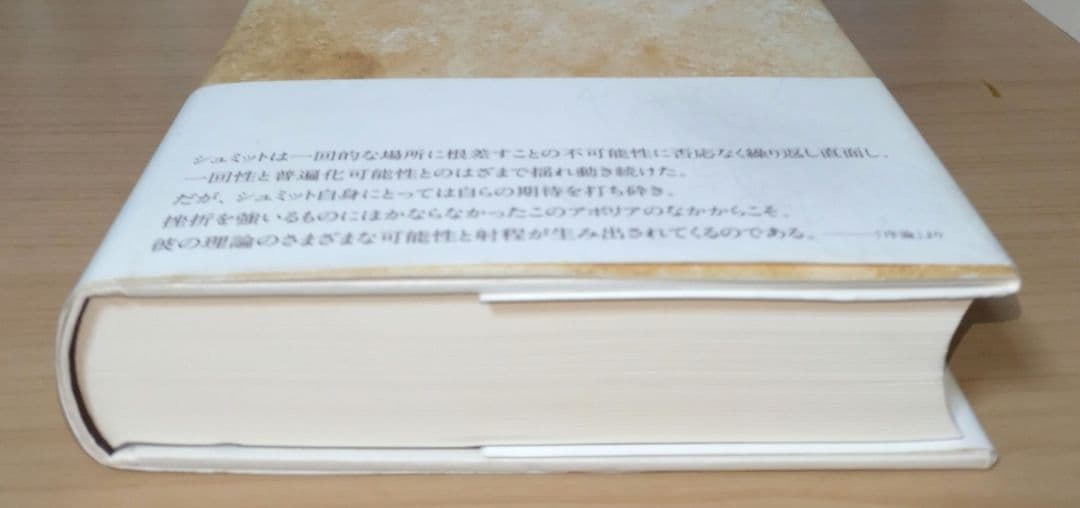 〈書き込みあり〉正戦と内戦 : カール・シュミットの国際秩序思想