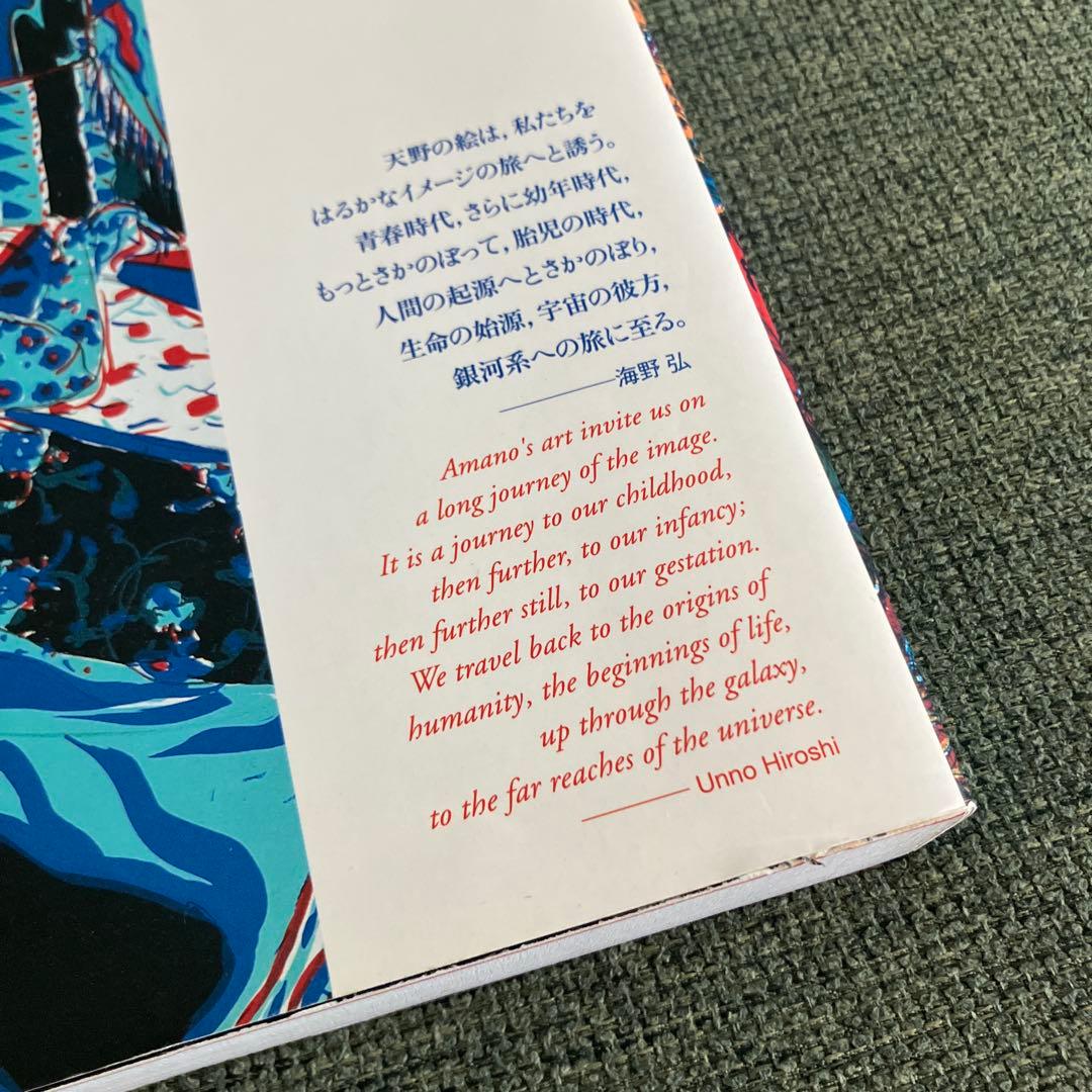 天野喜孝 全版画集
