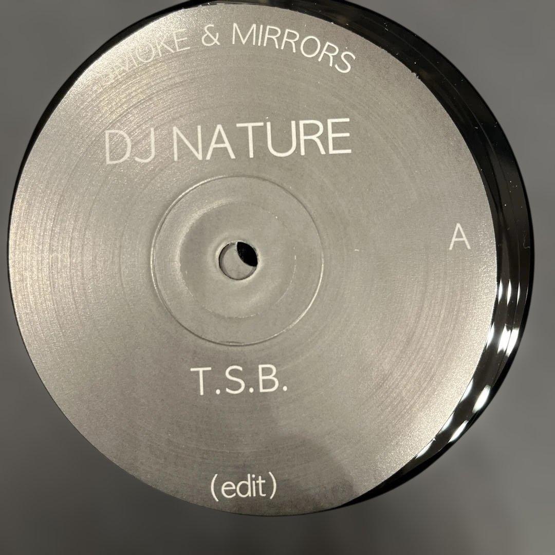 洋楽 DJ Nature Lost & Found Edits