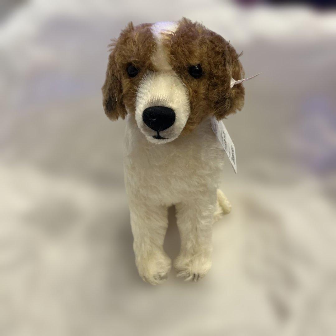 Steiff コーイケルホンディエ