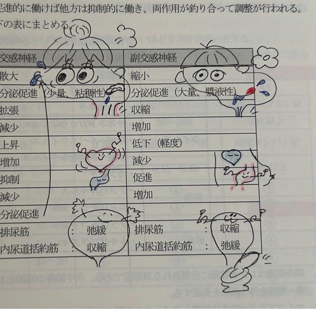 臨床工学技士 国家試験 過去問