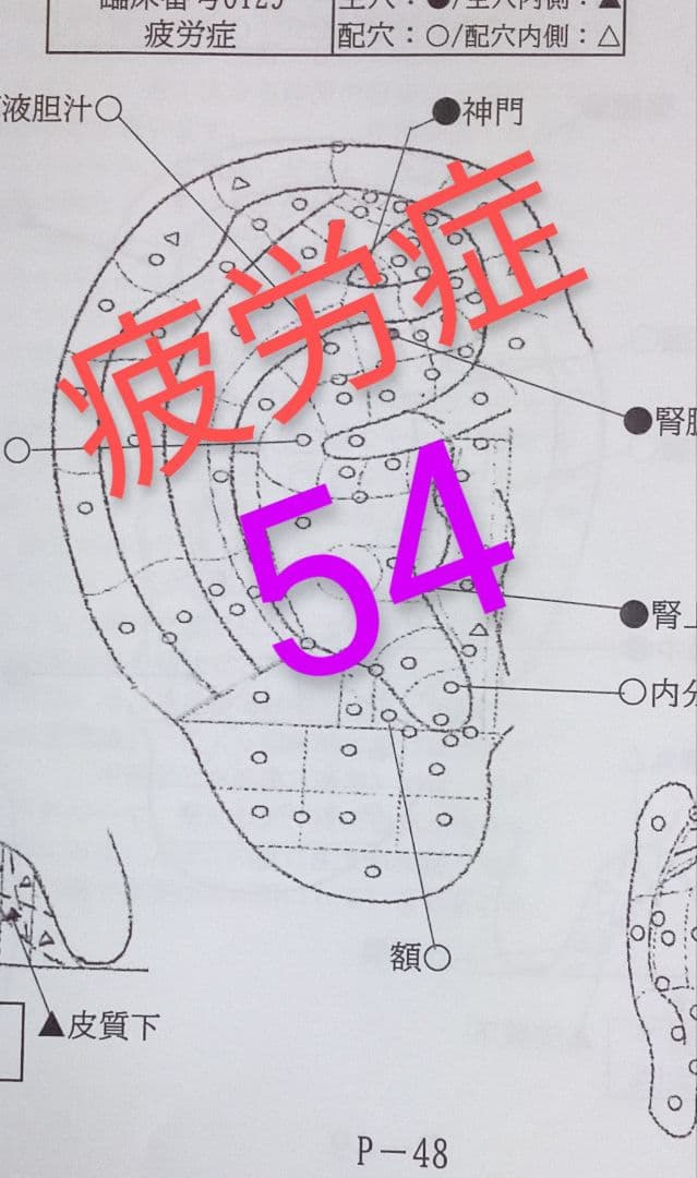 Bc:耳つぼ学ぶ：耳臨床54例集+臓器/躯体ラミネート+解説冊子/プリントset