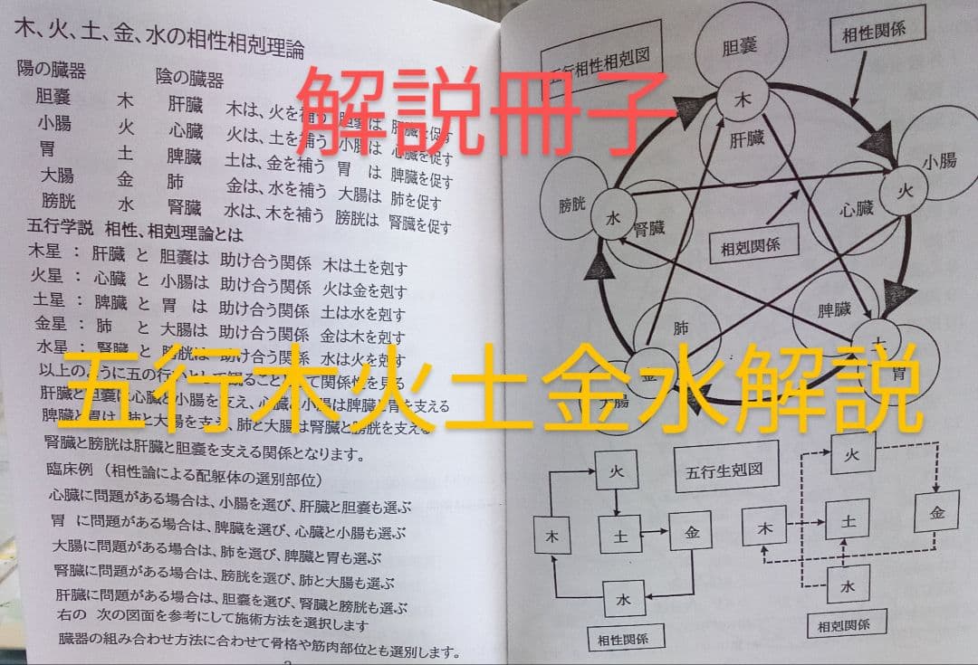 Bc:耳つぼ学ぶ：耳臨床54例集+臓器/躯体ラミネート+解説冊子/プリントset
