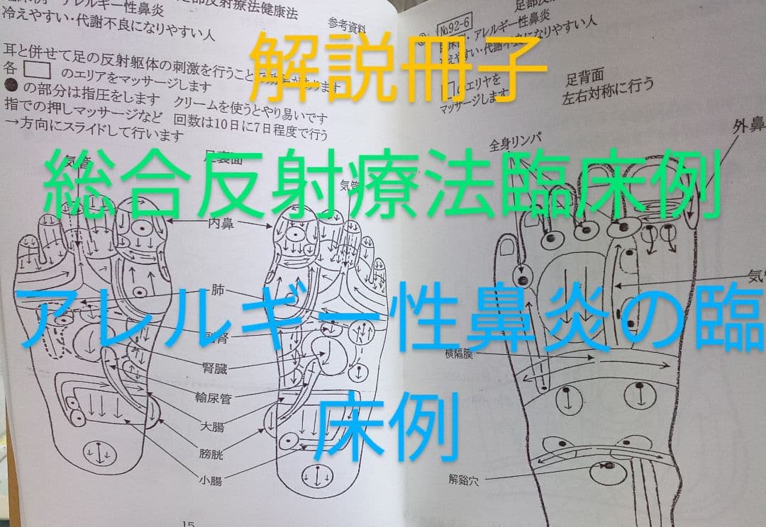 Bc:耳つぼ学ぶ：耳臨床54例集+臓器/躯体ラミネート+解説冊子/プリントset