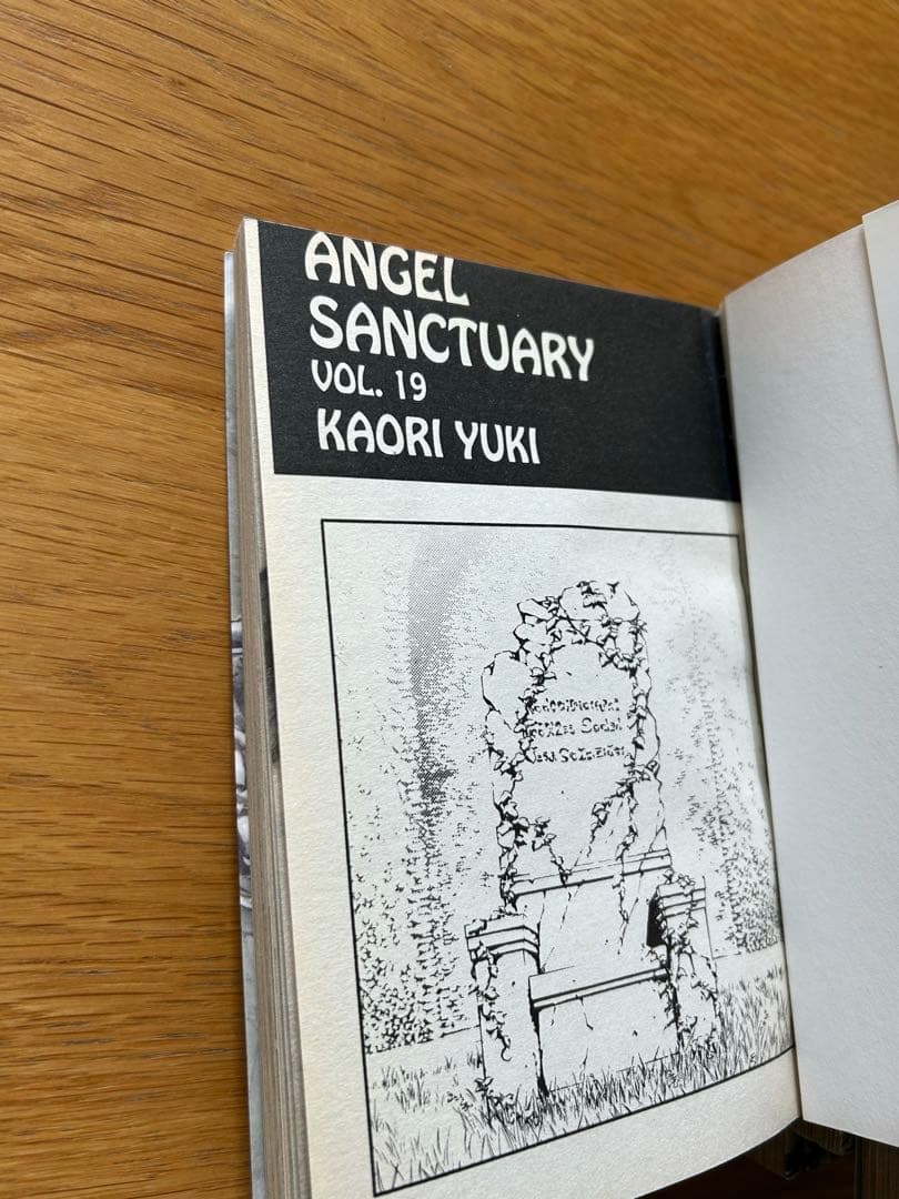 Angel Sanctuary フランス語版漫画1-20巻　由貴香織里