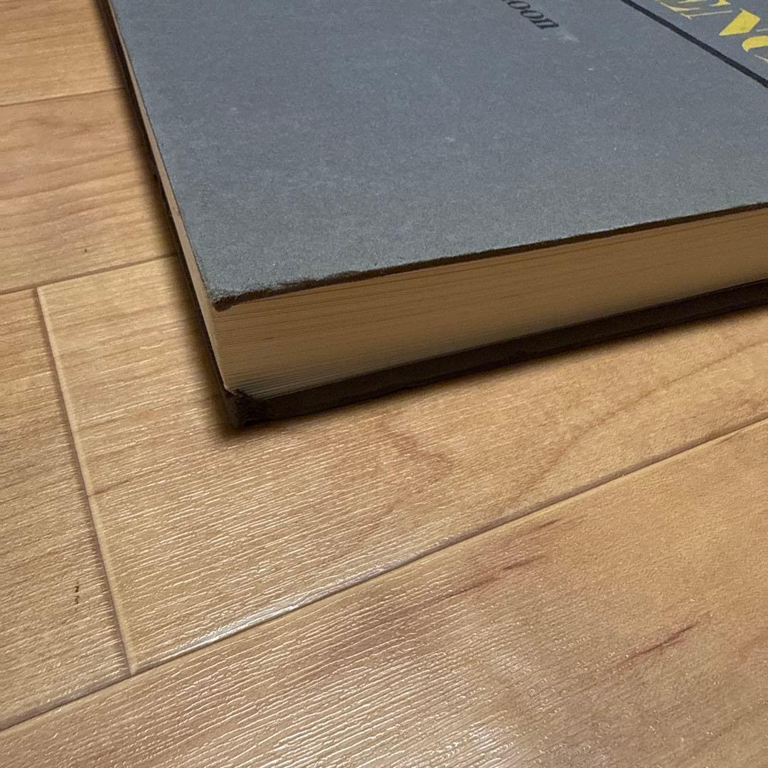 COÏNCIDENCES サラ・ムーン 写真集