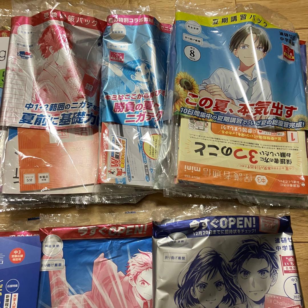 進研ゼミ 中学講座 中３ 10ヶ月分セット